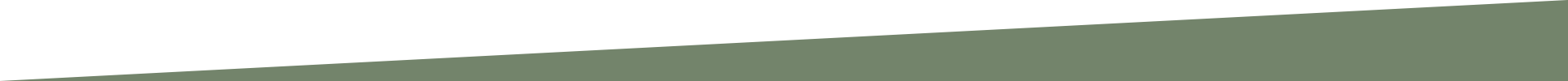divider-h100-mid-green-4-elemento-gaia-1920x-0-ok